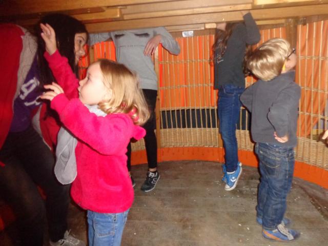 Mercredi Family Maison Des Geants Gayant Enfants Famille Douai Douaisis Nord France (30)